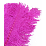 plume petite autruche fushia