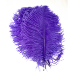 plume petite autruche legere violet