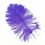 plume petite autruche violet