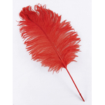 plume petite autruche rouge raide