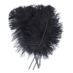 plume petite autruche noir legere