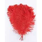 plume petite autruche rouge legere
