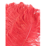 plume petite autruche rouge