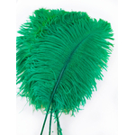 plume petite autruche vert legere