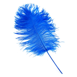 plume petite autruche bleu raide