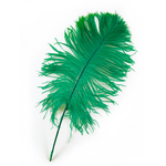 plume petite autruche vert raide