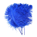 plume petite autruche bleu