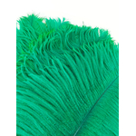 plume petite autruche vert