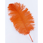 plume petite autruche legere orange