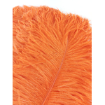 plume petite autruche orange