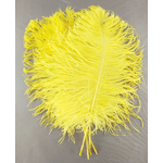plume petite autruche jaune