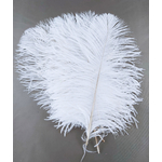 plume petite autruche legere blanc