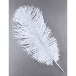 plume petite autruche blanc mariage