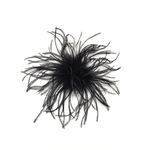 POM9083-01-plume