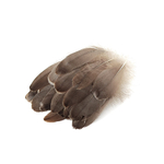 plume nageoire doie rigide gris naturel