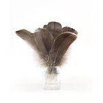 plume nageoire d'oie gris naturel
