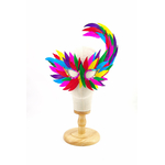 masque plume oie asymetrique multicolore