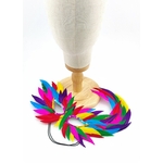 masque plume oie multicolore