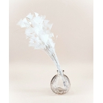 piquet fouet plume ecru
