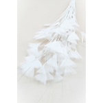 piquet fouet plume dinde ivoire