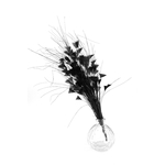piquet fouet plume noir