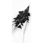 piquet fouet plume dinde noir