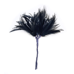 piquet plume coq strass noir
