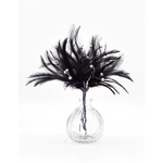piquet noir plume coq strass