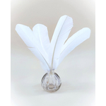 plume palette de dinde grande blanche