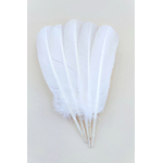plume palette de dinde blanche evenement