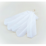 plume palette de dinde blanche