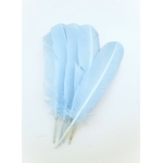 plume palette de dinde rigide bleu porcelaine