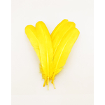 plume palette de dinde grande jaune vif