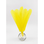 plume palette de dinde jaune vif