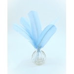 plume palette de dinde bleu porcelaine