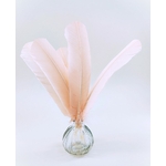 plume palette de dinde rose poudre rigide