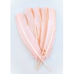 plume palette de dinde rose poudre