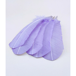 plume palette de dinde rigide parme