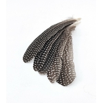 plume naturelle de pintade pour création