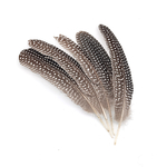 plume naturelle de pintade à motifs pour décoration