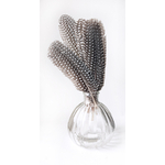 plume naturelle de pintade pour décoration