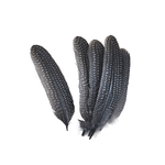 plume naturelle de pintade à motifs gris pale