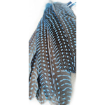 plume naturelle de pintade à motifs bleu