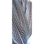 plume naturelle à motifs pintade bleu