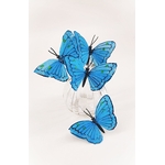 papillon en plume bleu