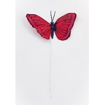 papillon en plume rouge