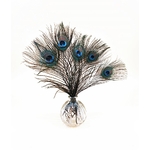plume de paon naturelle décoration