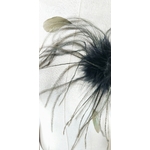 broche plume colorée