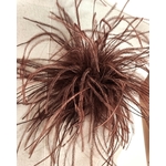 broche plume dautruche marron