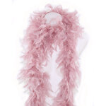 boa plume dinde rose buvard